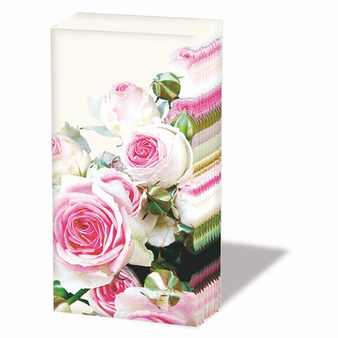 Maxima, cream • Pocket Tissue