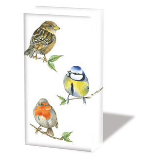 Bird Species, white • Pocket Tissues