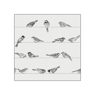 Birds • Beverage Napkins