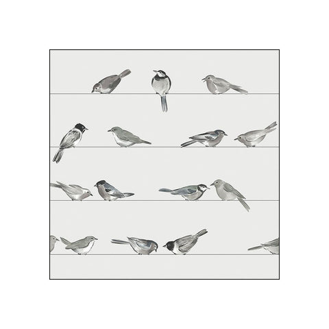 Birds • Beverage Napkins
