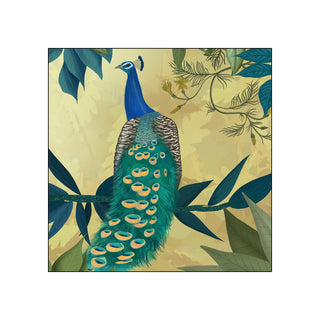 Gilded Peacock • Beverage Napkins