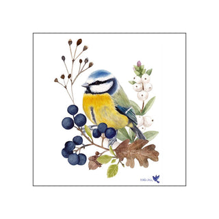Oiseau en Nature • Beverage Napkins