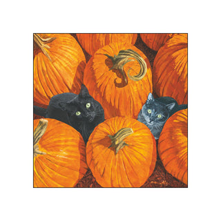Pumpkin Patch Cats • Beverage Napkins