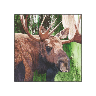 Evergreen Moose • Beverage Napkins