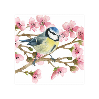 Oiseau Printemps • Beverage Napkins