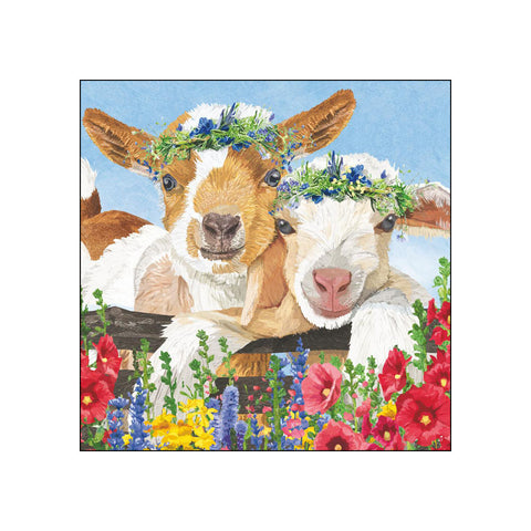 Gary & Gracie • Beverage Napkins