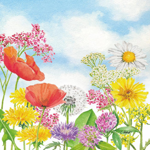 Summer Day • Beverage Napkin