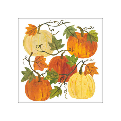 Tracey´s Pumpkins • Beverage Napkins