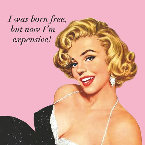 Born Free • Beverage Napkin