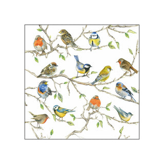 Birds Meeting • Beverage Napkins