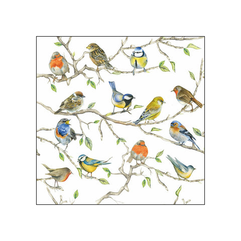 Birds Meeting • Beverage Napkins