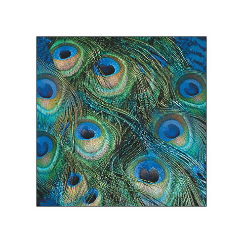Peacock Feathers • Beverage Napkins