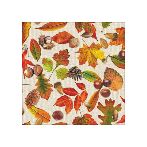 Autumn Festival • Beverage Napkins