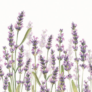 Lavender Shades, white • Beverage Napkins