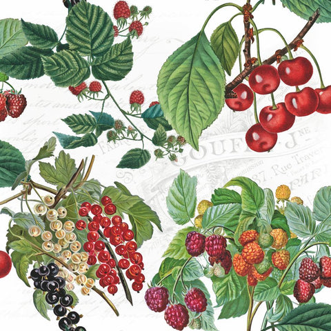 Fresh Fruits • Beverage Napkins