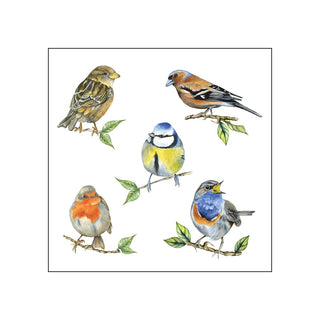 Bird Species, white • Beverage Napkins