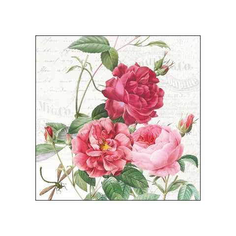 Amber • Beverage Napkins