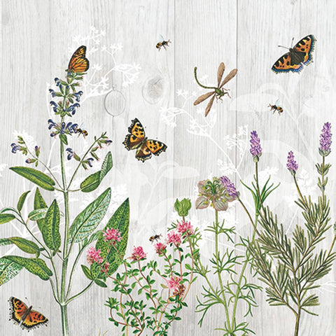 Herb Garden • Beverage Napkin