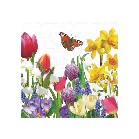 Spring Feeling • Beverage Napkins