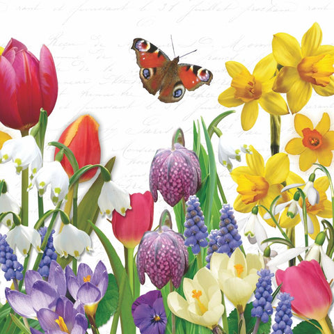Spring Feeling • Beverage Napkins