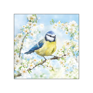 Blossom Time • Beverage Napkins