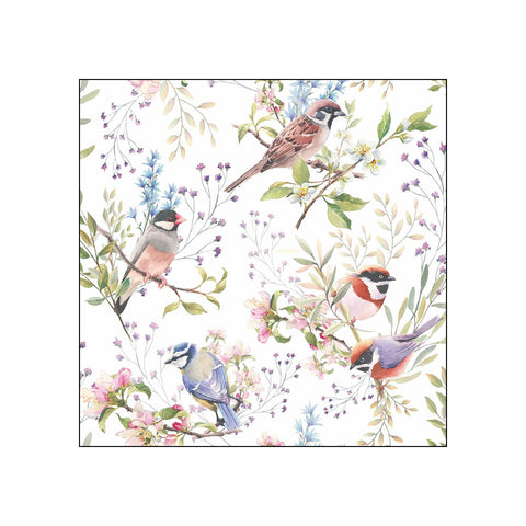 Busy Birds • Beverage Napkins