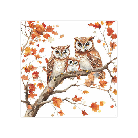 Family of Owls • Beverage Napkins