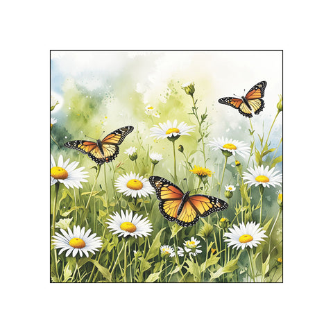 Oxeye Dasiies • Beverage Napkins