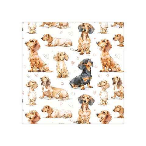 Dachshund Dreams • Beverage Napkins