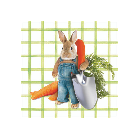 Pete's Garden • Beverage Napkins