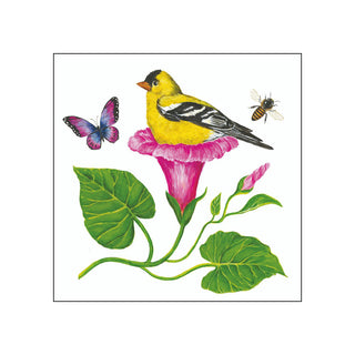 Morning Glory Nest • Beverage Napkins