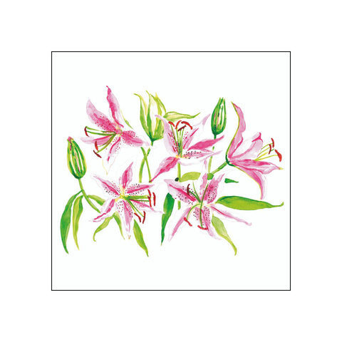 Stargazer Lillies • Beverage Napkins