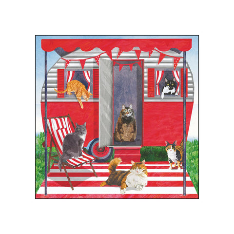 Camper Cats • Beverage Napkins