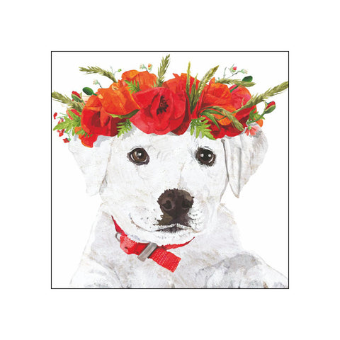 Enzo's Spring • Beverage Napkins