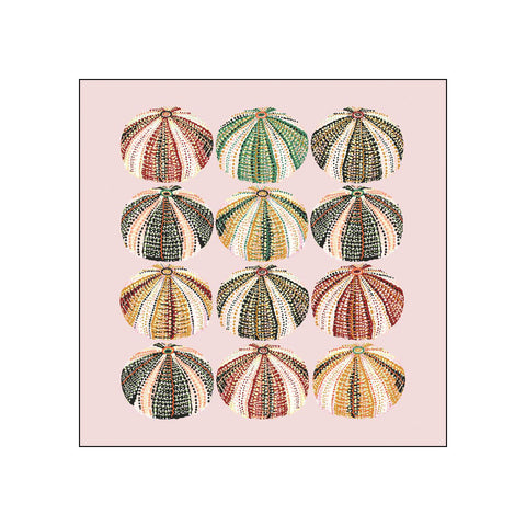 Paradisio Urchins • Beverage Napkins
