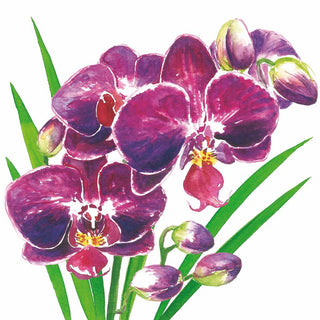 Orchidea Lunch Napkin