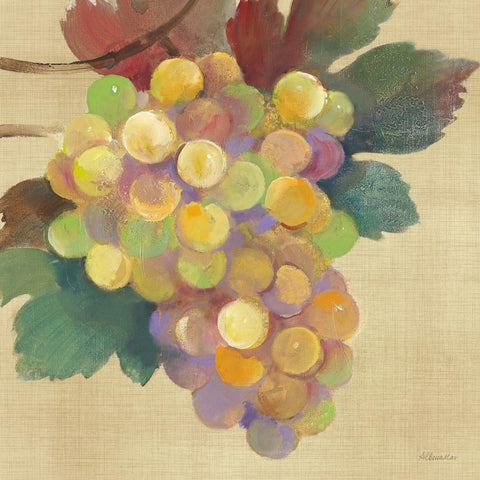 Wine Country White • Lunch Napkin