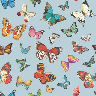 Butterflies, blue • Lunch Napkins