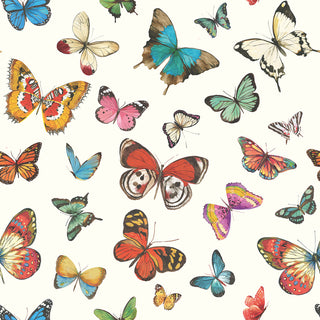 Butterflies, cream • Lunch Napkins