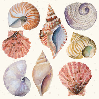 Shells and Sand • Lunch Napkins