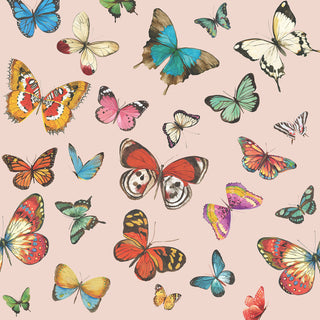 Butterflies, blush • Lunch Napkins