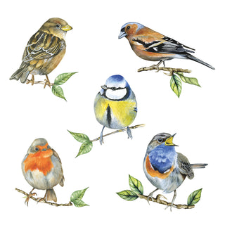 Bird Species, white • Lunch Napkins