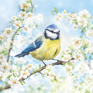 Blossom Time • Lunch Napkins