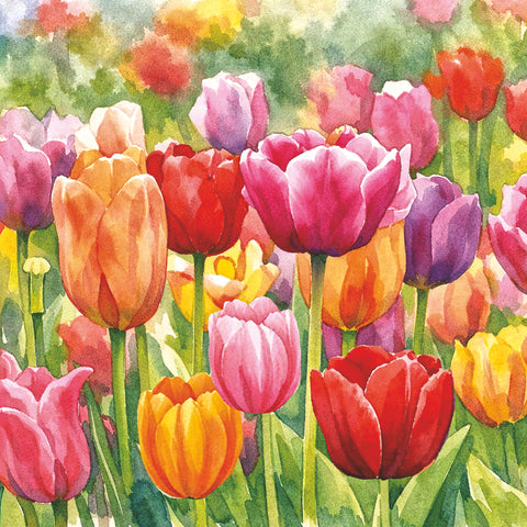 Tulip Impression • Lunch Napkins