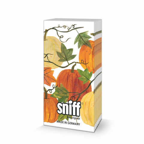 Tracey's Pumpkins • Sniff