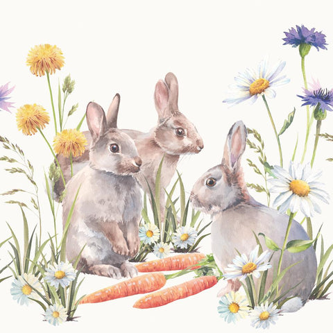 Carrot Treat • Beverage Napkins