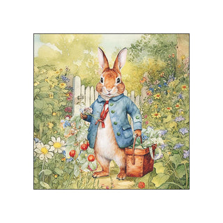 Mr. Rabbit • Beverage Napkins