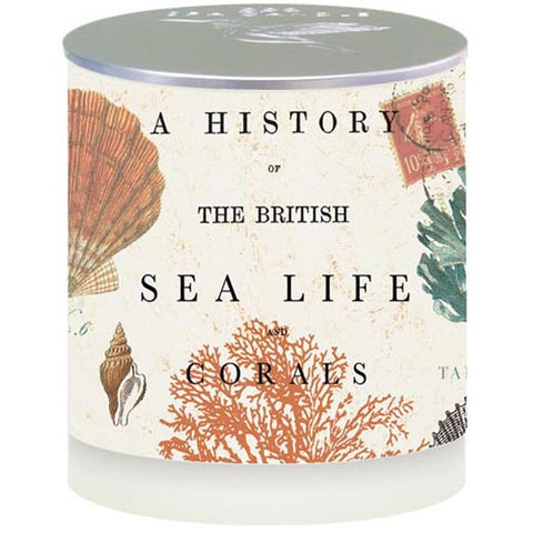 Sea Life Spa • Candle