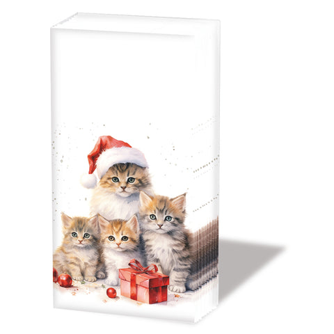 Meowy Christmas • Pocket Tissue