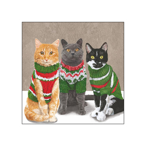 Sweater Cats • Beverage Napkins